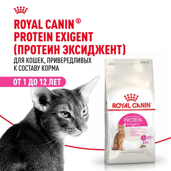 Сухой корм Royal Canin Protein Exigent для привередливых взрослых кошек от 1 года
