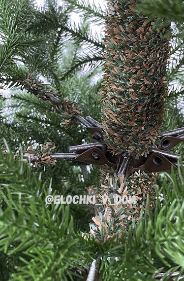 Ель Алтайская Ёлочки в Дом