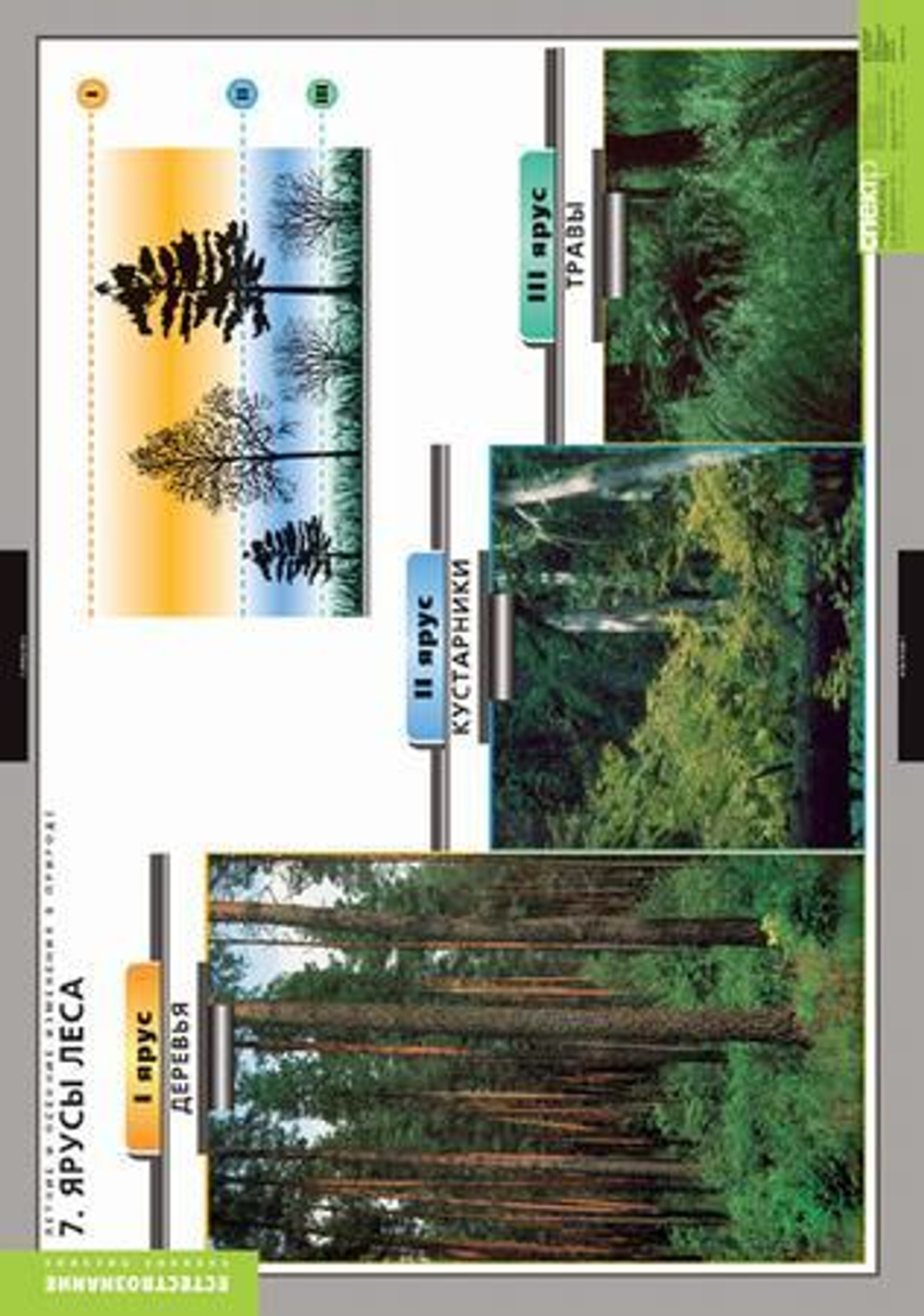 Комплект таблиц "Окружающий мир. Летние и осенние изменения в природе"; 13 таблиц + 32 карт.