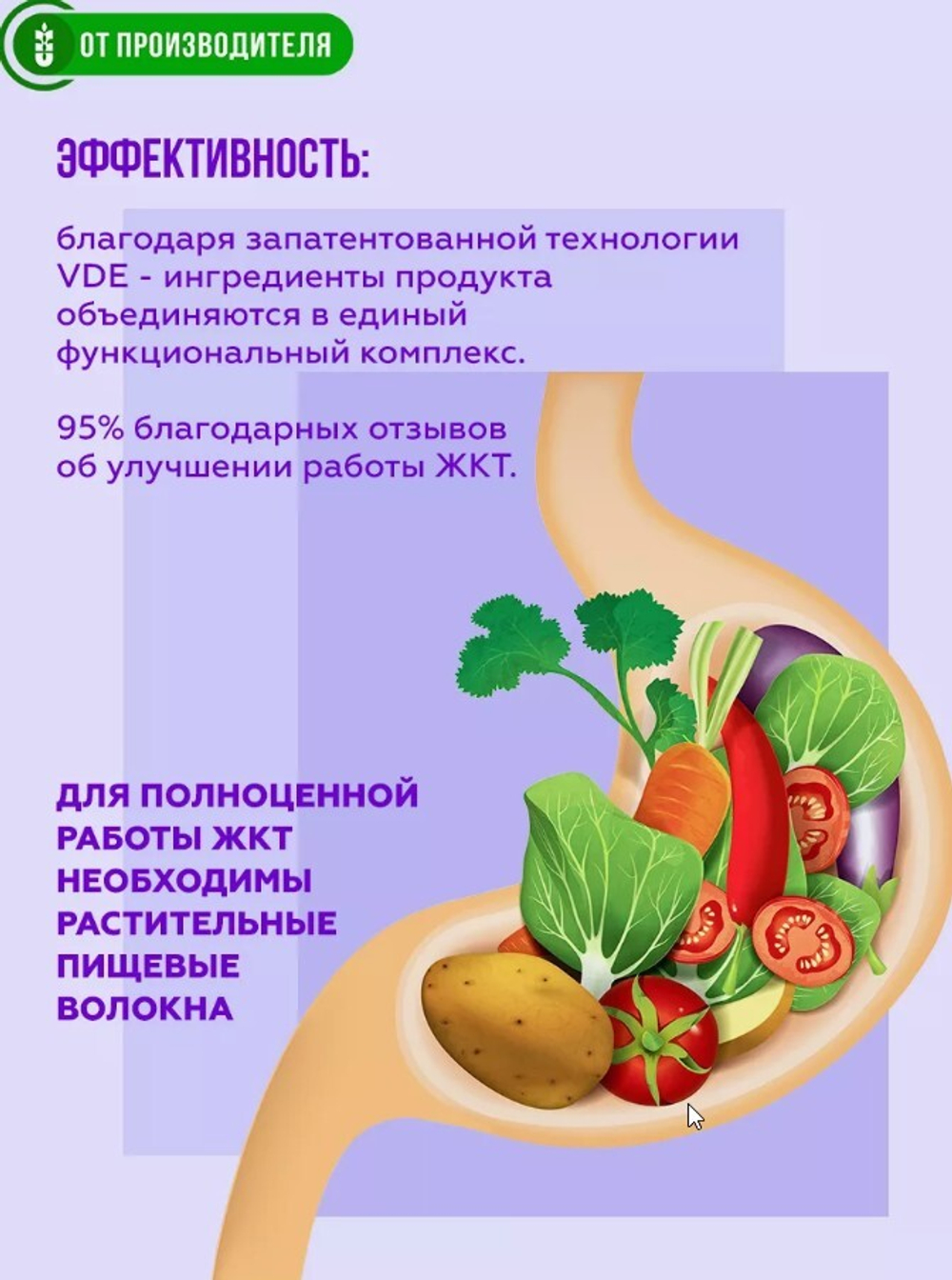 Скриншот 18.12.24_09.19.51