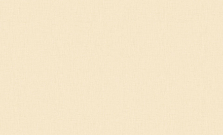 Индустрия 1.06m NA8985-07 Carnea