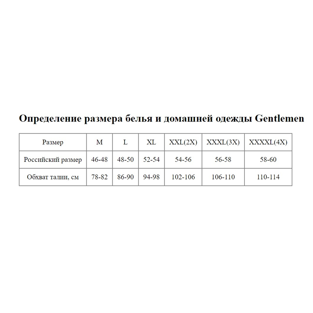 Набор из 2 трусов-слипов в клетку - черных и синих (Размер: XL) (Цвет: черный с синим)