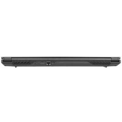 Ноутбук Dream Machines RG3050-17RU25-wpro