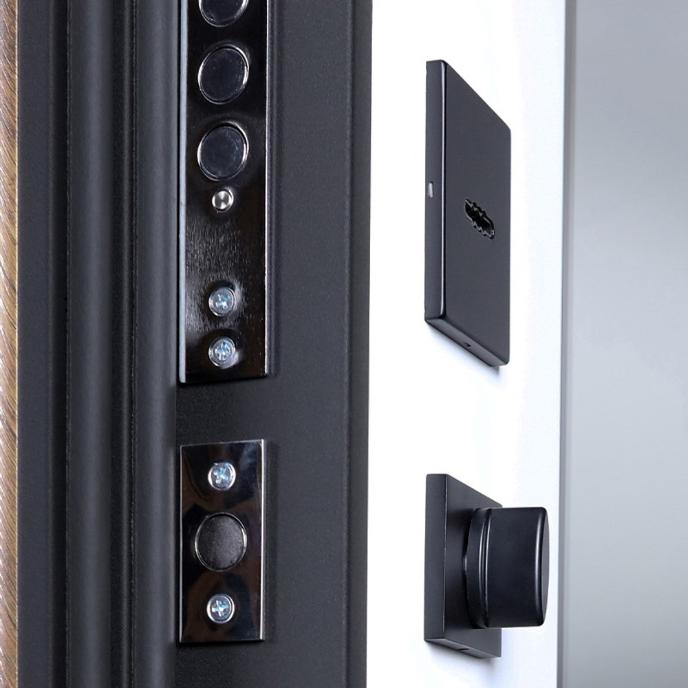 Стальная дверь "Plata" с зеркалом (биометрический замок Y23)