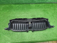 Решетка радиатора BMW 5er G30 (2017-2020)