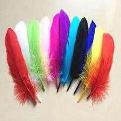 Feather Pens Mixed