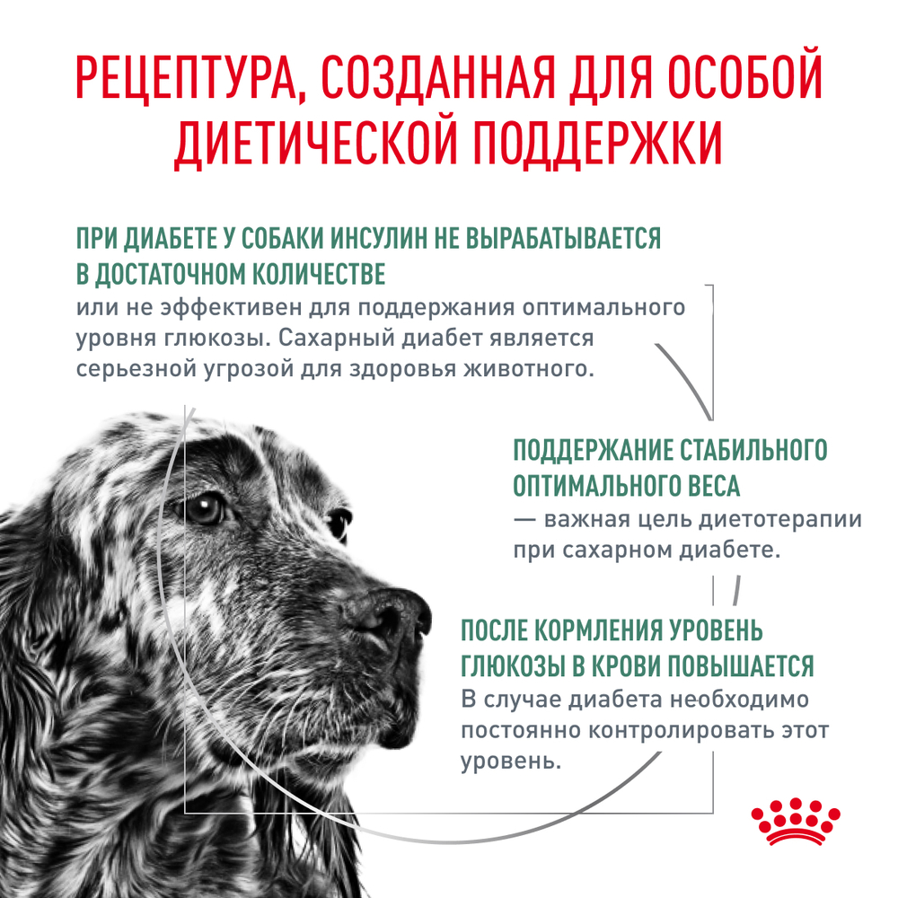 Сухой корм Royal Canin DIABETIC для взрослых собак при сахарном диабете 12кг