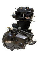 Двигатель в сборе LX166FML 223 куб.см SCR250