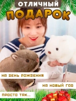 Мягкая игрушка вомбат хомяк кавайный плюшевый 26 см