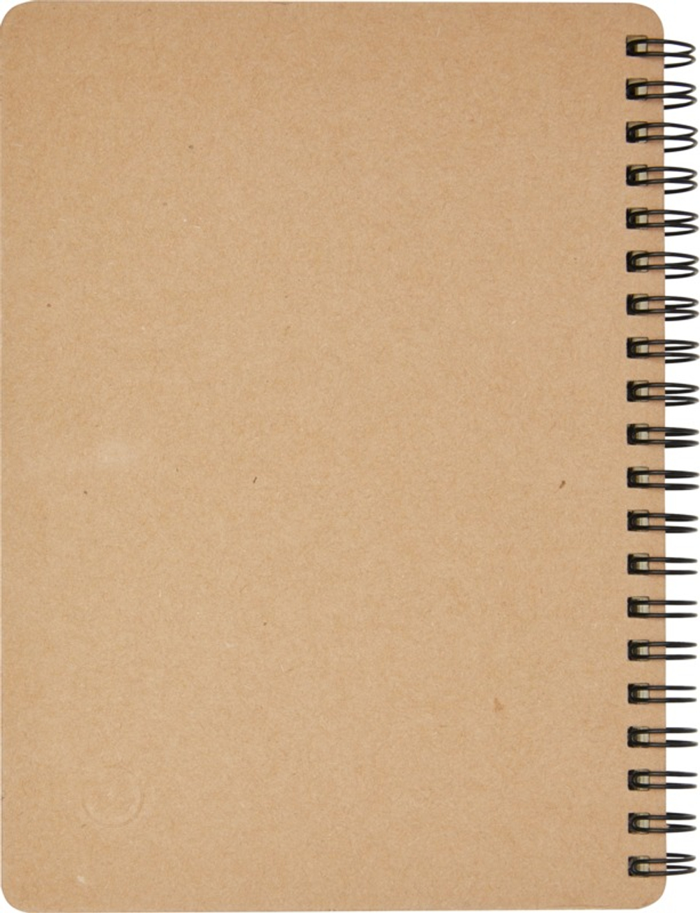 10626801_b1