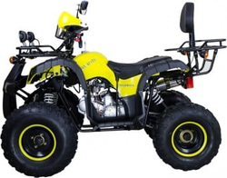 Квадроцикл AVANTIS Hunter 8M Lux 125 2017