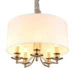 Подвесная люстра Aployt BERZE APL.721.06.05