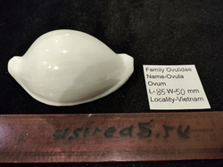 Овула Овум 85-90мм