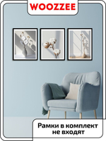 Набор постеров "Хлопок"  3шт.