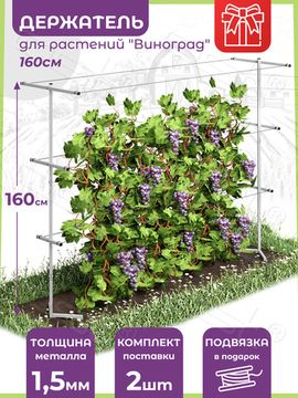 Опора для растений "Виноград 3" 160 см