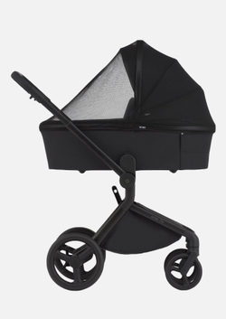 Anex Детская коляска Flo 2 в 1 Lungo