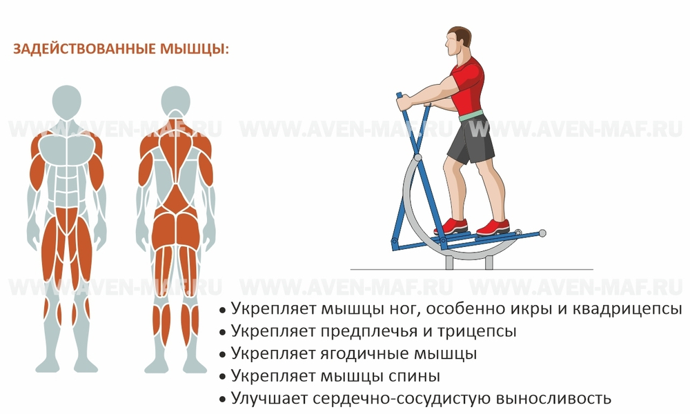 Тренажер