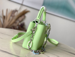 Louis Vuitton Capucines Mini
