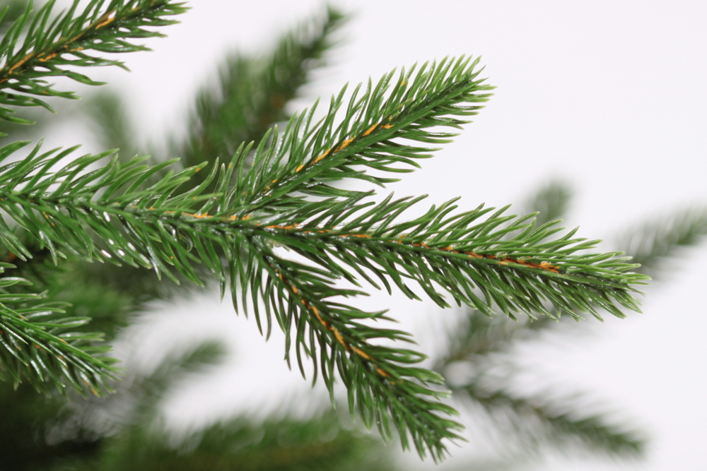 Ель искусственная Царь елка Офелия 180 см ОФ-180