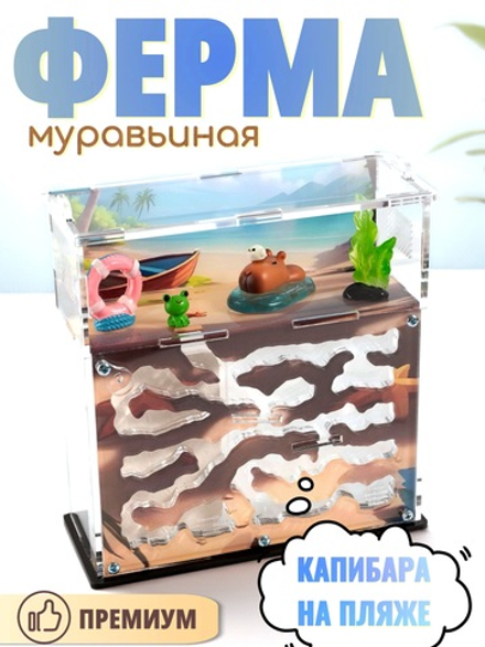 Муравьиная ферма с муравьями в подарок "КАПИБАРА НА ПЛЯЖЕ" (170*170*65мм)