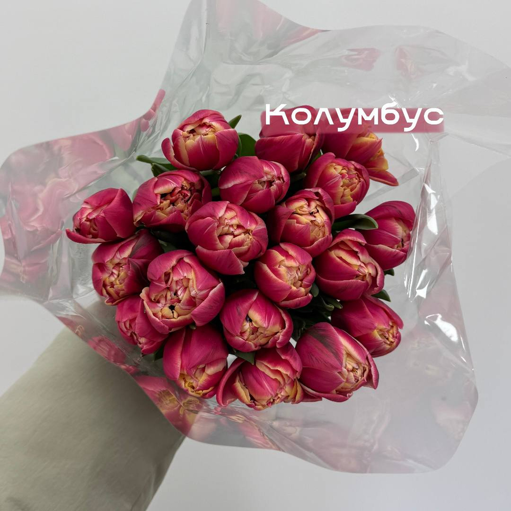 Тюльпаны пионовидные Колумбус 1шт поштучно