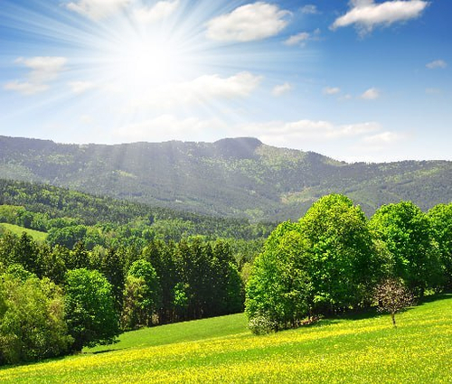 Природа 2 №21 Фотообои и Фрески ручной работы