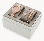 Женские наручные часы Fossil BQ3543SET
