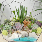 Флорариум с суккулентами Марс с озером