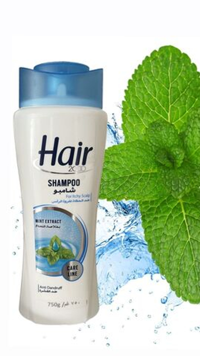 HAIR Шампунь с экстрактом мяты 650 гр