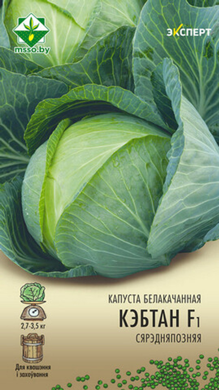Капуста б/к "Кэбтон F1" 12шт, Нидерланды.