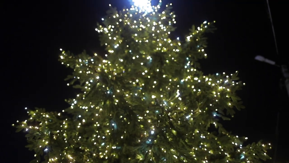 Светодинамическая елка ствольная со скамейкой, встроенная гирлянда: Теплый свет - "Лесная" (Литая хвоя) от 6 до 18 м