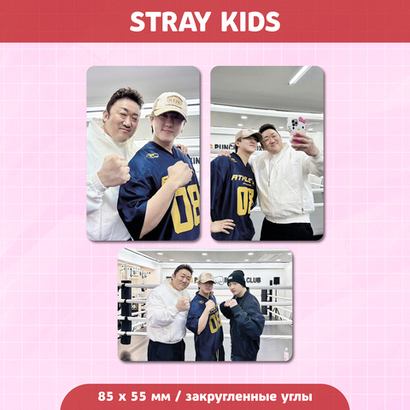 Сет карточек / STRAY KIDS #24