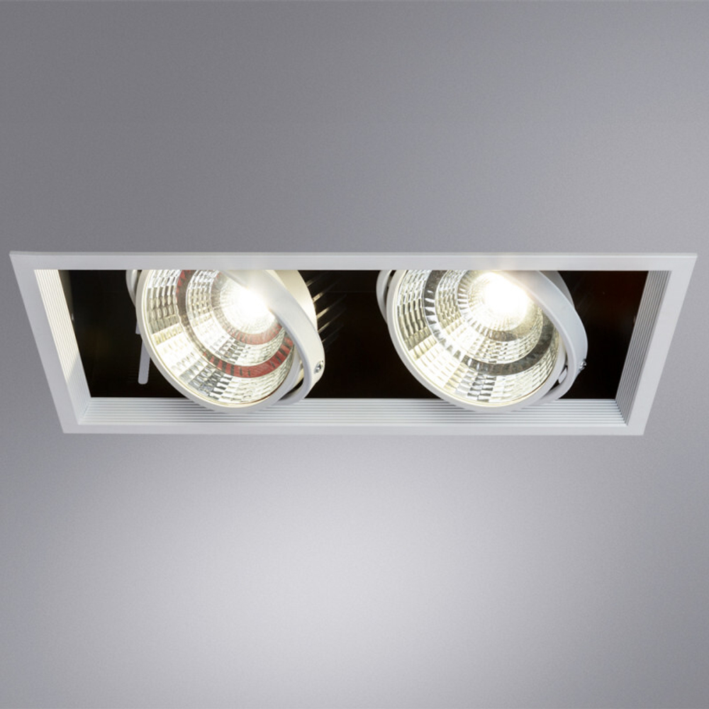 Встраиваемый светильник Arte Lamp A8450PL-2WH