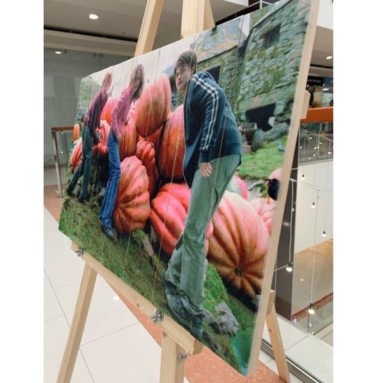 Картина на досках Гарри Поттер (44x66 см)