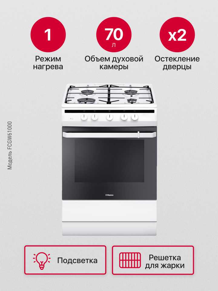 Газовая плита Hansa FCGW61000