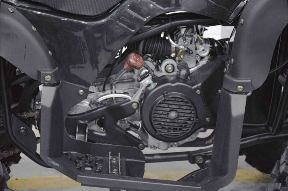 Квадроцикл GRIZZLY 200