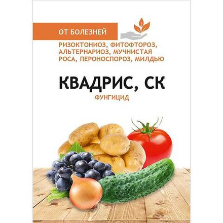 Квадрис ,СК