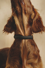 Ошейник "Пони-Макарони" Рыжий