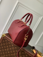 Louis Vuitton Speedy Bandouliere 25