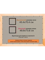 Рамка для постера и фотографий 45x70
