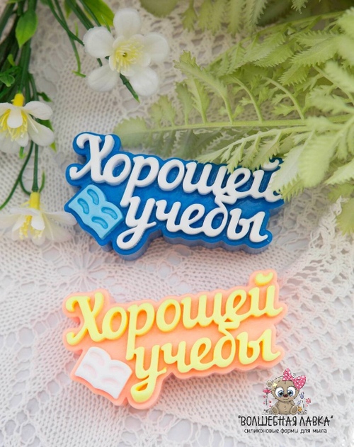 Силиконовая форма Хорошей учебы