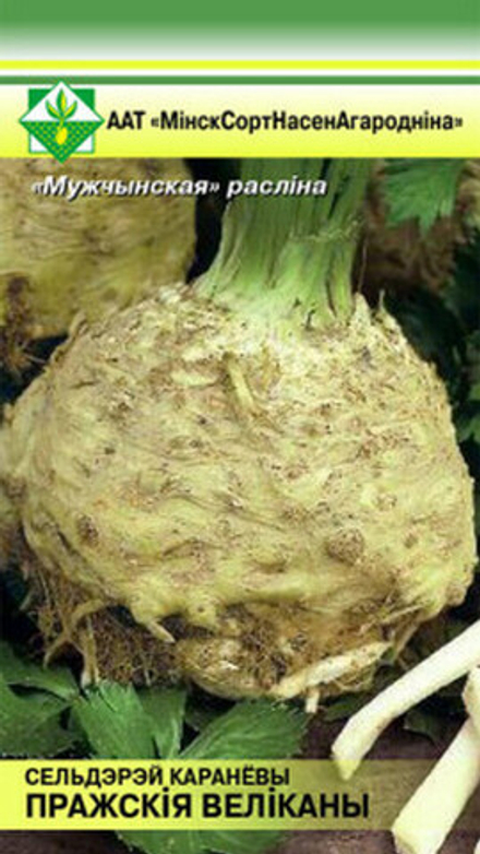 Сельдерей корневой "Пражские Великаны" 0.3г, Германия.