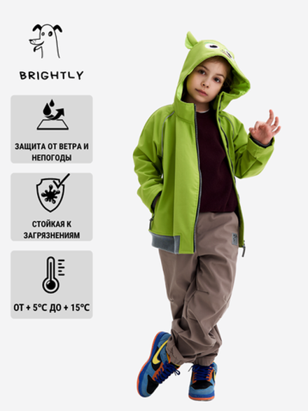 Брюки софтшелл Drive BROWN