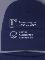 Шапка для мальчика осенняя со снудом