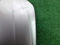 Капот Hongqi H9 (2020-н.в.)