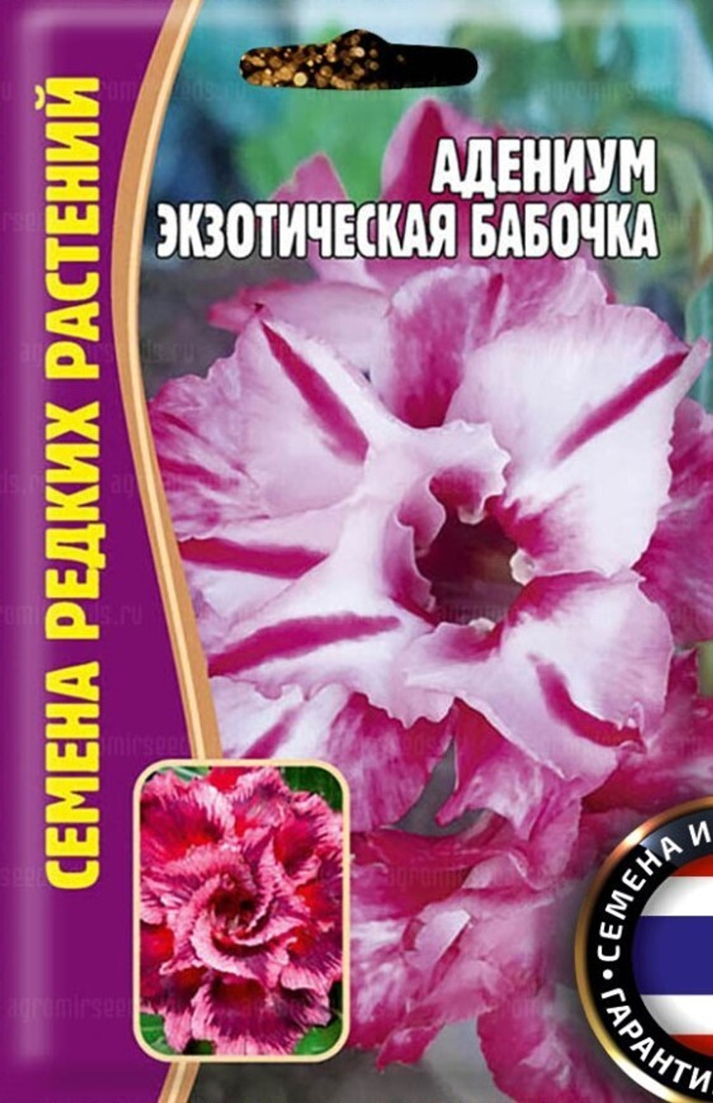 Адениум тучный Экзотическая бабочка