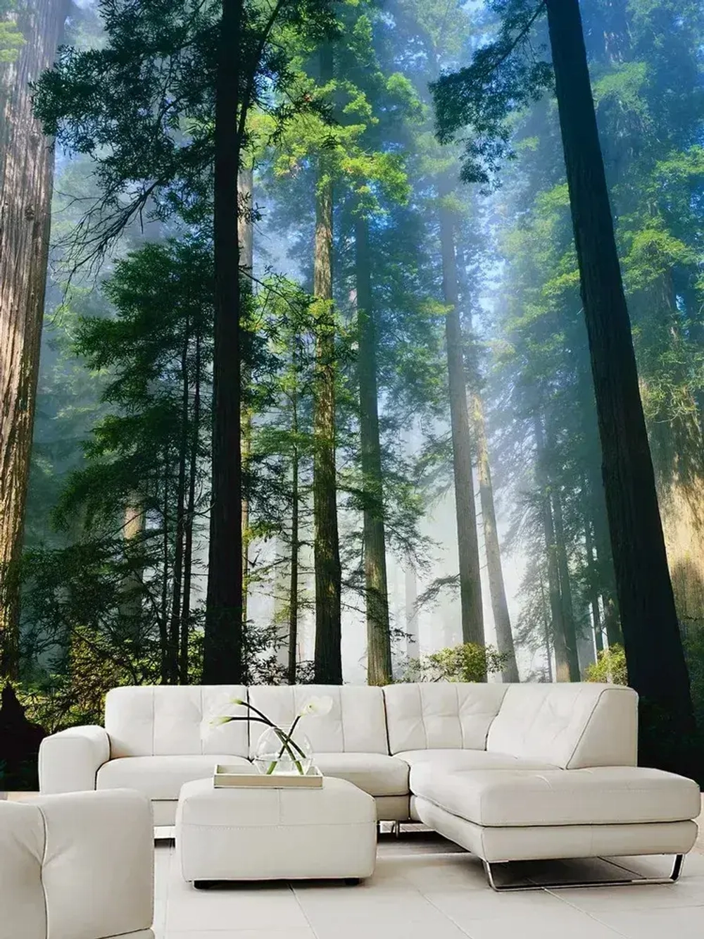 Фотообои сосновый лес в солнечных лучах на кухню 200х270