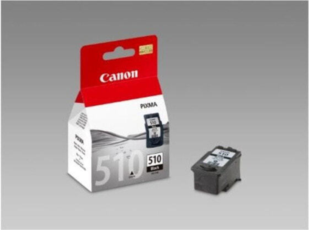 Картридж струйный черный 1 шт Canon CCICTO0243 2970B001