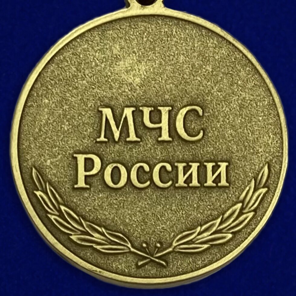 Медаль "За усердие" МЧС России Учреждение: 06.12.2010 №342