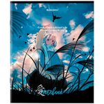 Тетрадь А5, 80 л., BRAUBERG, скоба, клетка, обложка картон, "Anime Girls", 404412, 5шт
